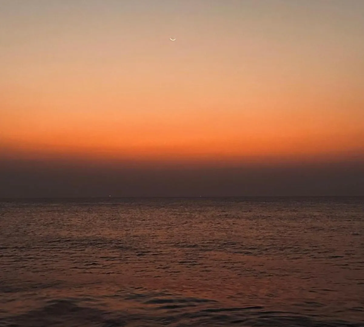 Luna Waves Negombo Bed & Breakfast